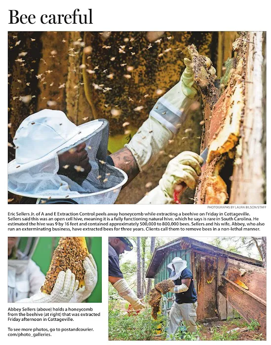 A&E BEE Extraction & Control Picture 7