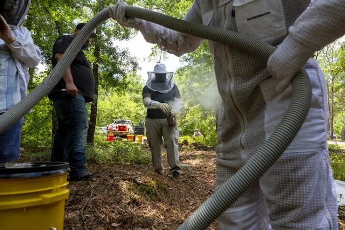 A&E BEE Extraction & Control Picture 3