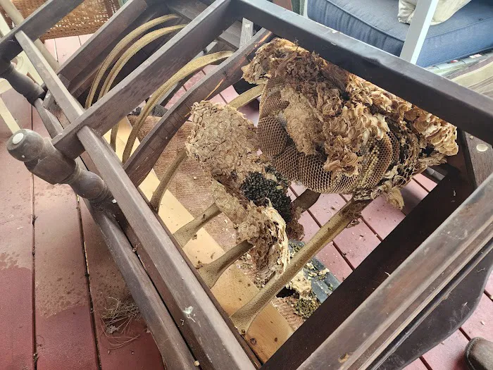 Low Country Pest Control Picture 8