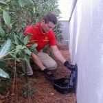 Palmetto Exterminators