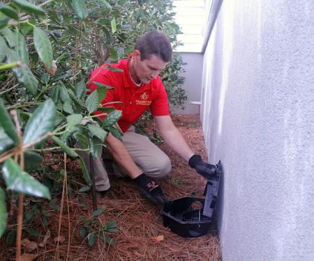 Palmetto Exterminators