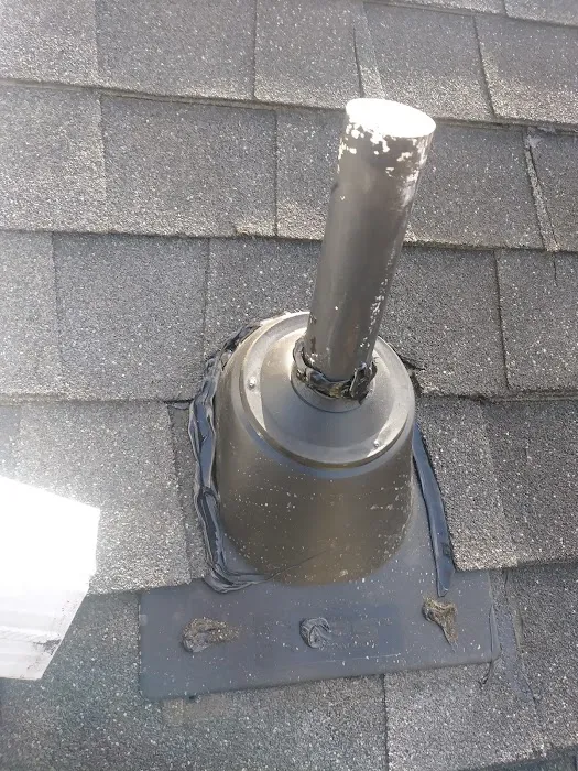 A Advanced Pest Control Picture 2