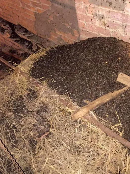 Pest Animal Removal Columbia Picture 7