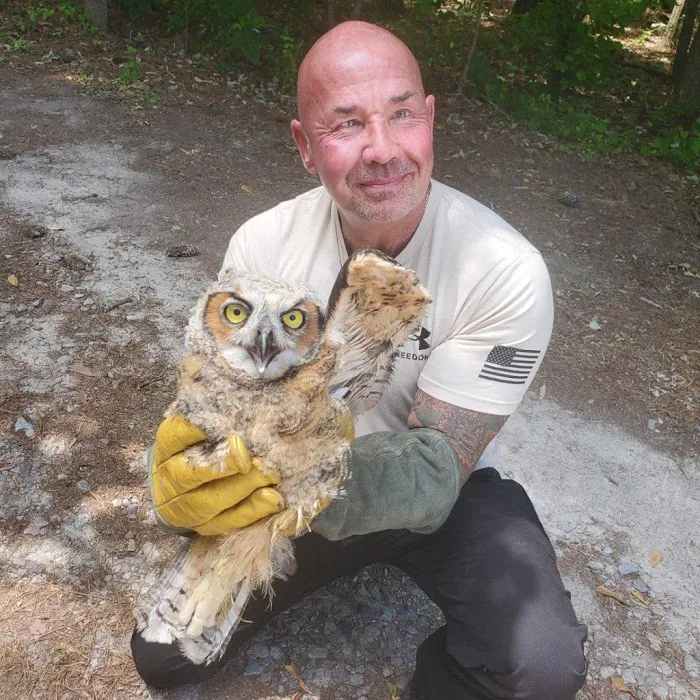 Blythewood Wildlife Removal, Columbia SC Picture 6