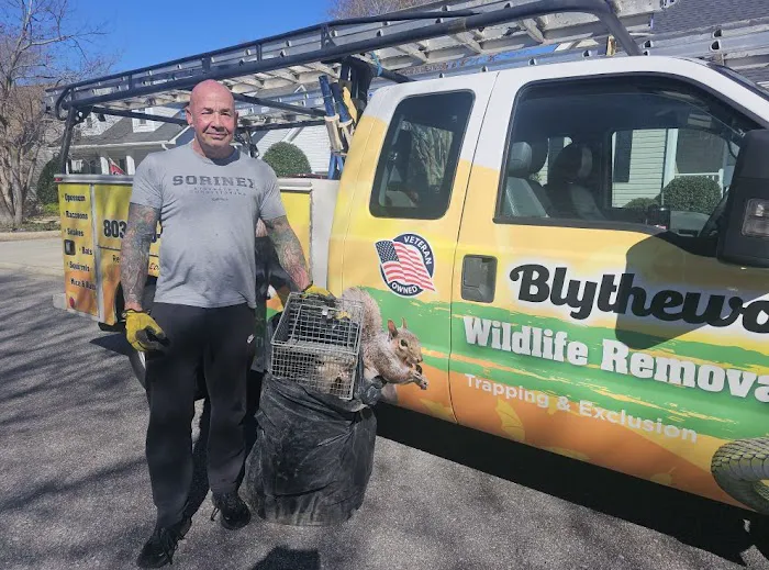Blythewood Wildlife Removal, Columbia SC Picture 4