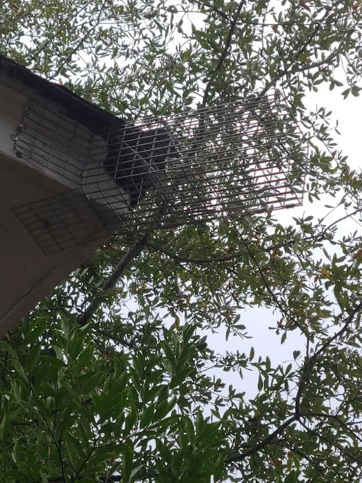 Blythewood Wildlife Removal, Columbia SC Picture 8