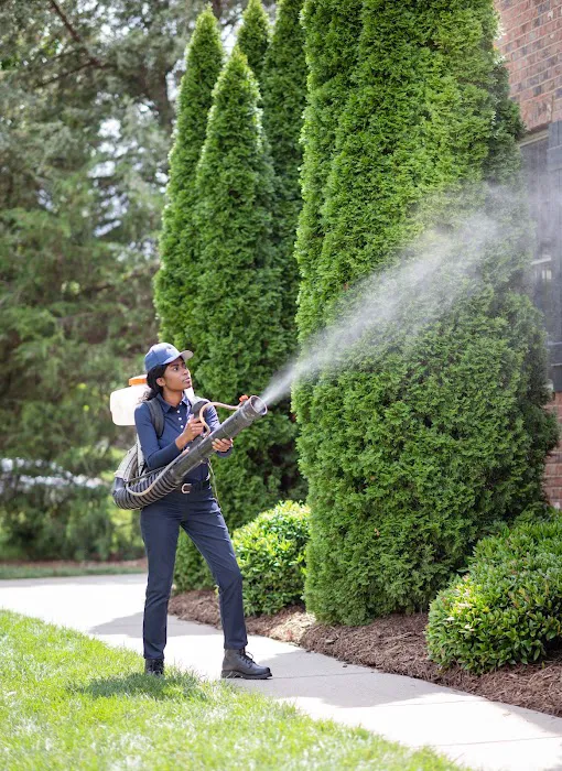 Rocket Pest Control Picture 5
