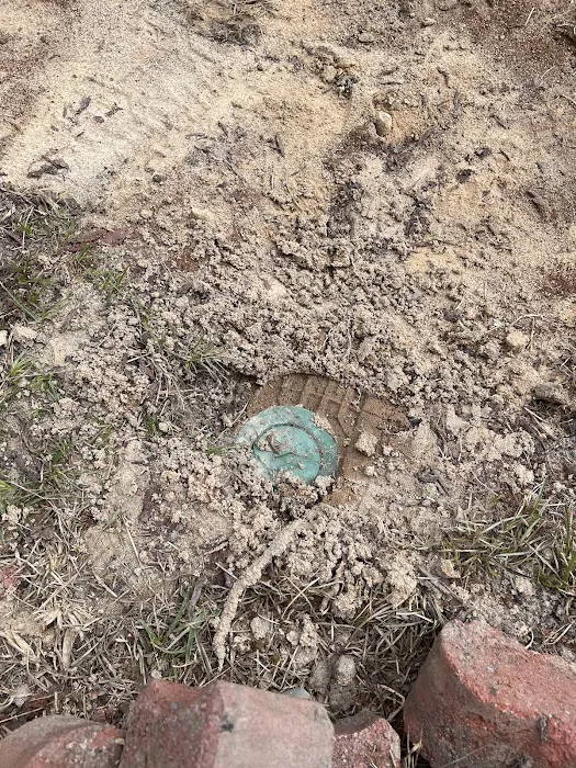 Rocket Pest Control Picture 10