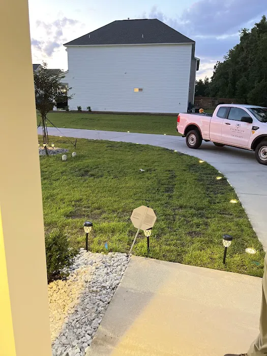 Evergreen Pest Solutions Picture 4