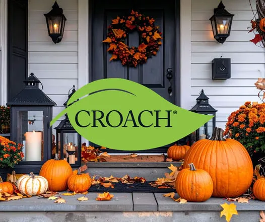 Croach Pest Control Picture 9