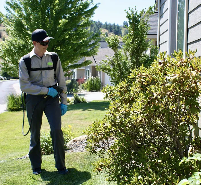 Croach Pest Control Picture 8