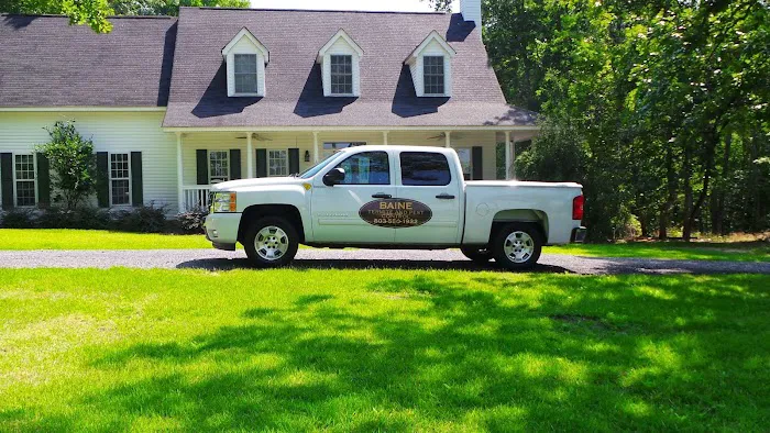 Baine Termite and Pest Control Picture 2