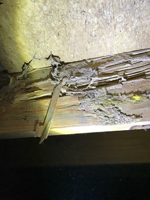ProCore Pest Control Picture 6