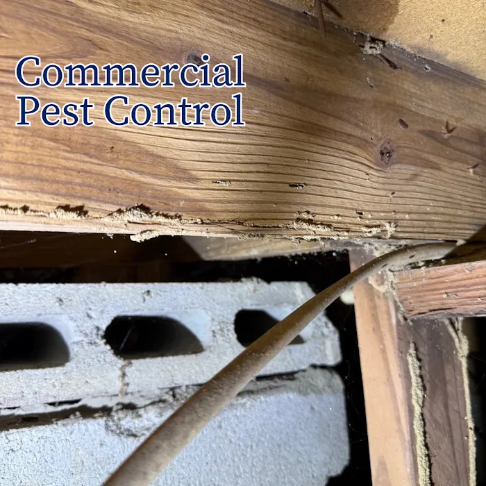 Jeffcoat Pest & Home Picture 10