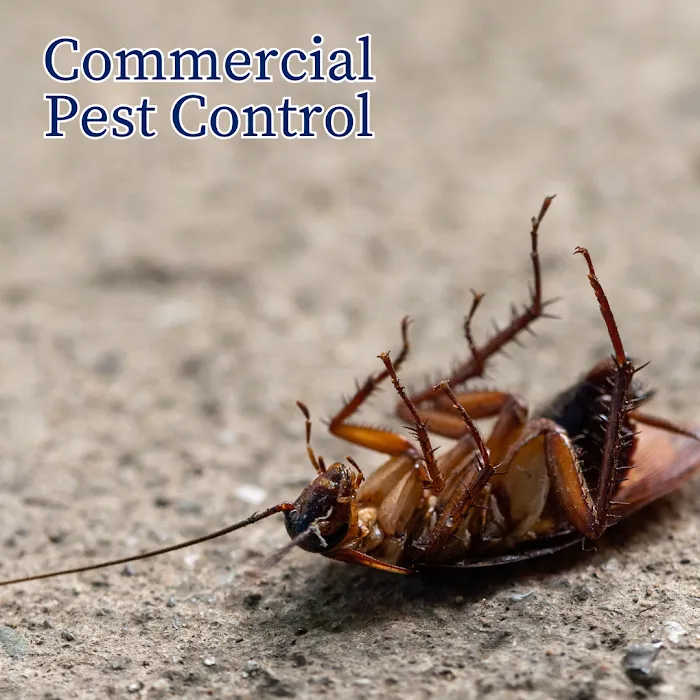 Jeffcoat Pest & Home Picture 9