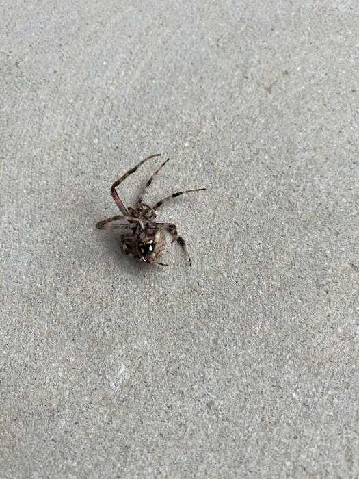 Jeffcoat Pest & Home Picture 1