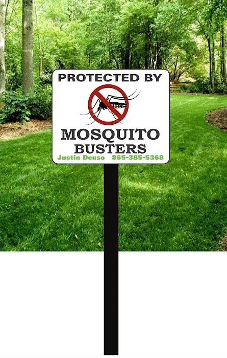 Mosquito Busters Picture 9