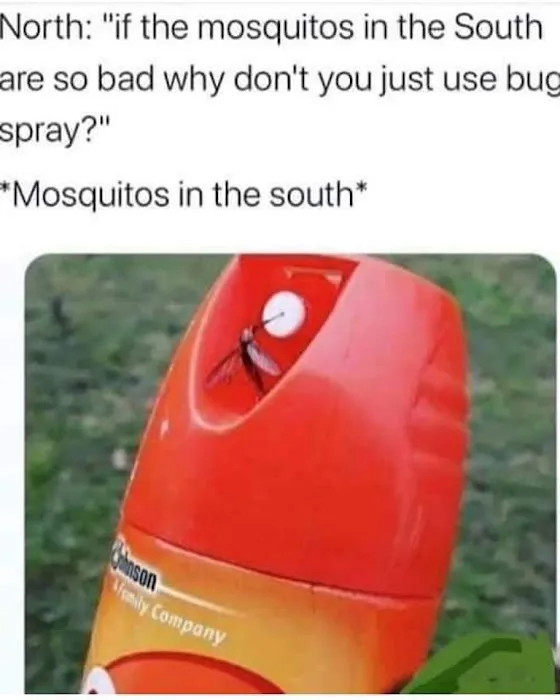 Mosquito Busters Picture 3