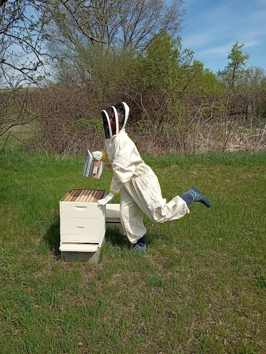 AWS Bees LLC Picture 3