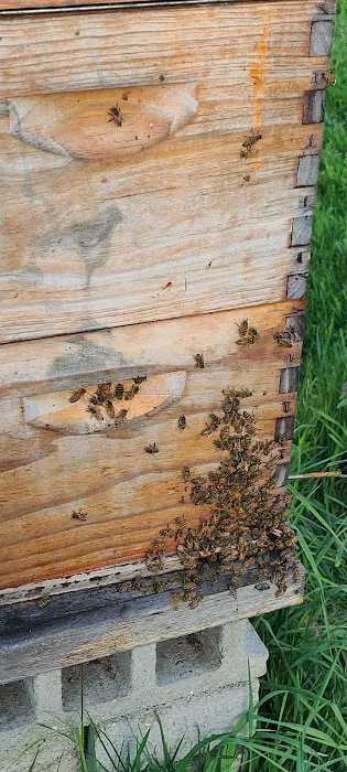 AWS Bees LLC Picture 2