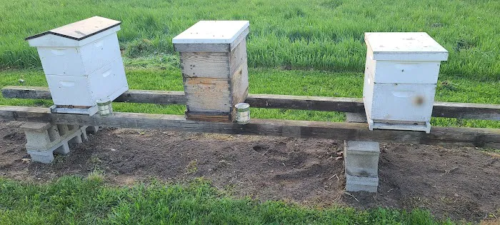 AWS Bees LLC Picture 1