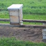 AWS Bees LLC
