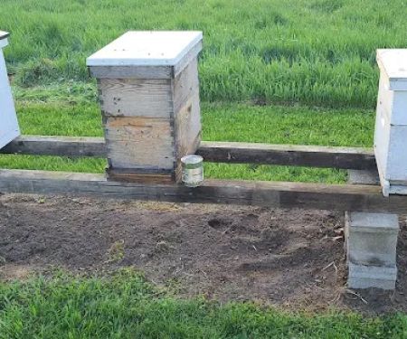 AWS Bees LLC