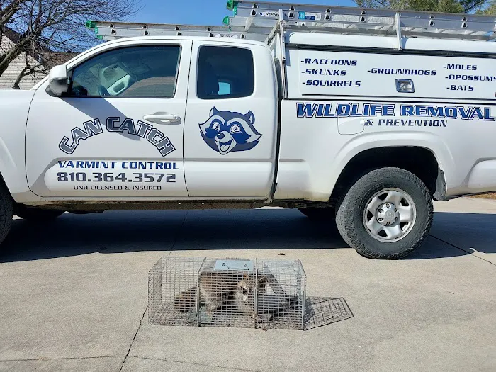Can Catch Varmint Control Picture 1