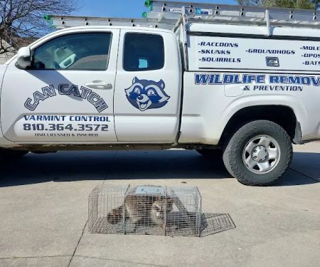 Can Catch Varmint Control