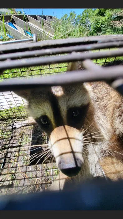 Can Catch Varmint Control Picture 2