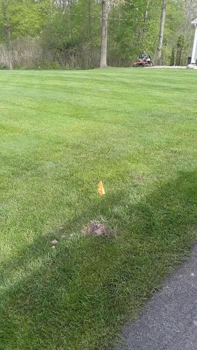 Can Catch Varmint Control Picture 9