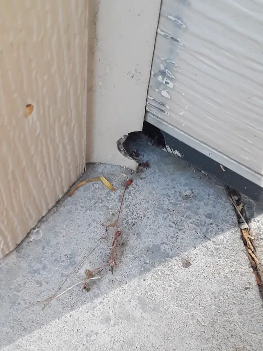 Can Catch Varmint Control Picture 7