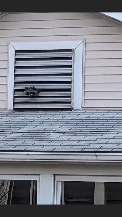 Can Catch Varmint Control Picture 5