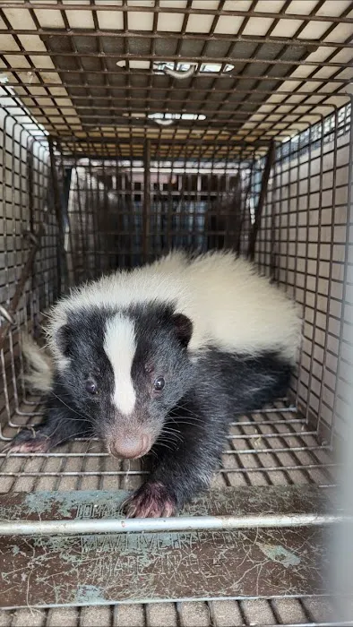 Can Catch Varmint Control Picture 8