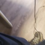 Smithereen Pest Management Services