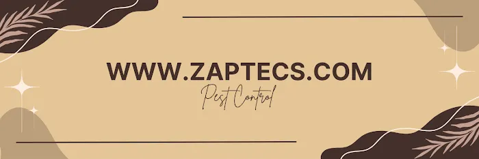 Zaptecs pest control Picture 3