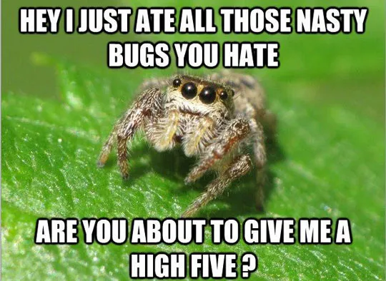 Taylor Pest Management LLC Picture 1