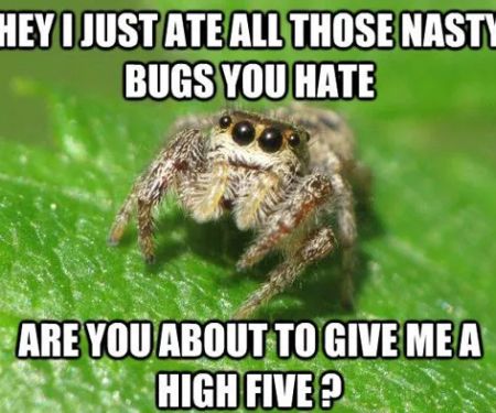 Taylor Pest Management LLC
