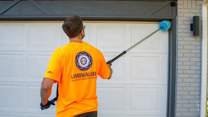 Limbwalker Picture 7