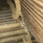 D2B Pest Control of Southern Indiana, LLC