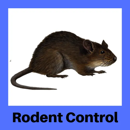 Ecology Pest Control Picture 1