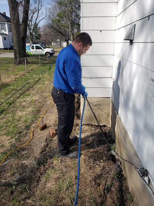 Ecology Pest Control Picture 10
