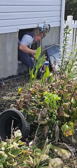 Fox Pest Control Evansville Picture 7