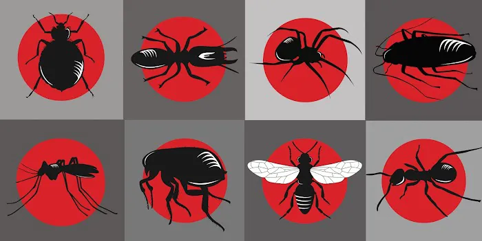 Swat Pest Management, Inc. Picture 6