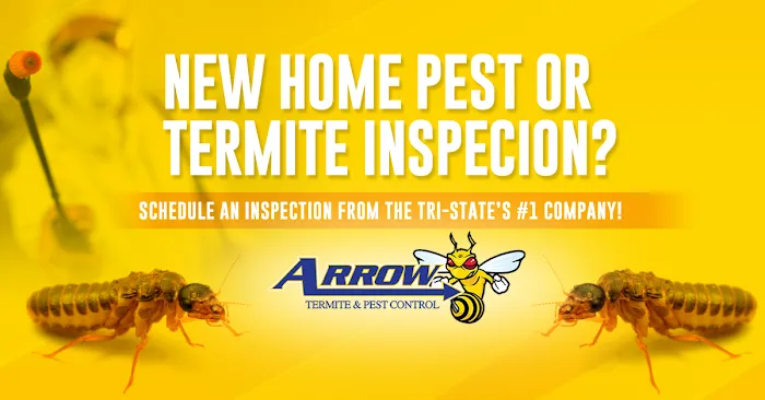 Arrow Termite & Pest Control Picture 6