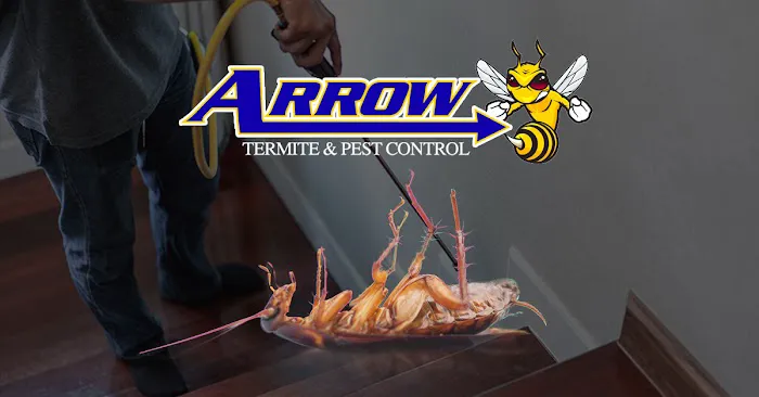 Arrow Termite & Pest Control Picture 1