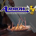 Arrow Termite & Pest Control