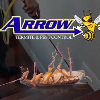 Arrow Termite & Pest Control ico