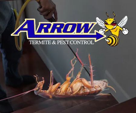 Arrow Termite & Pest Control