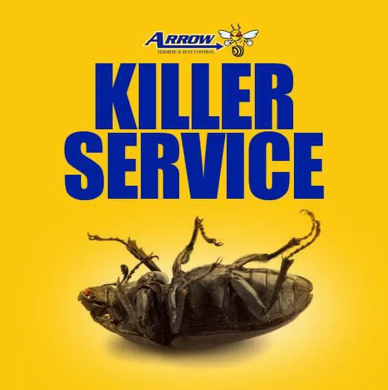 Arrow Termite & Pest Control Picture 8